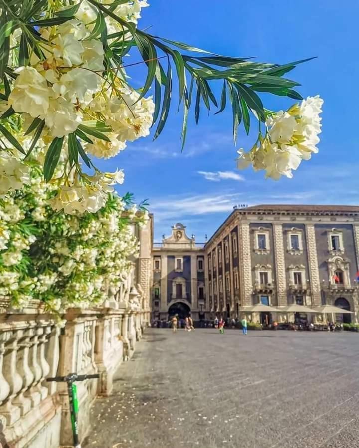 A Casuzza Apartment Catania Bagian luar foto